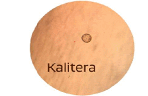 Kalitera